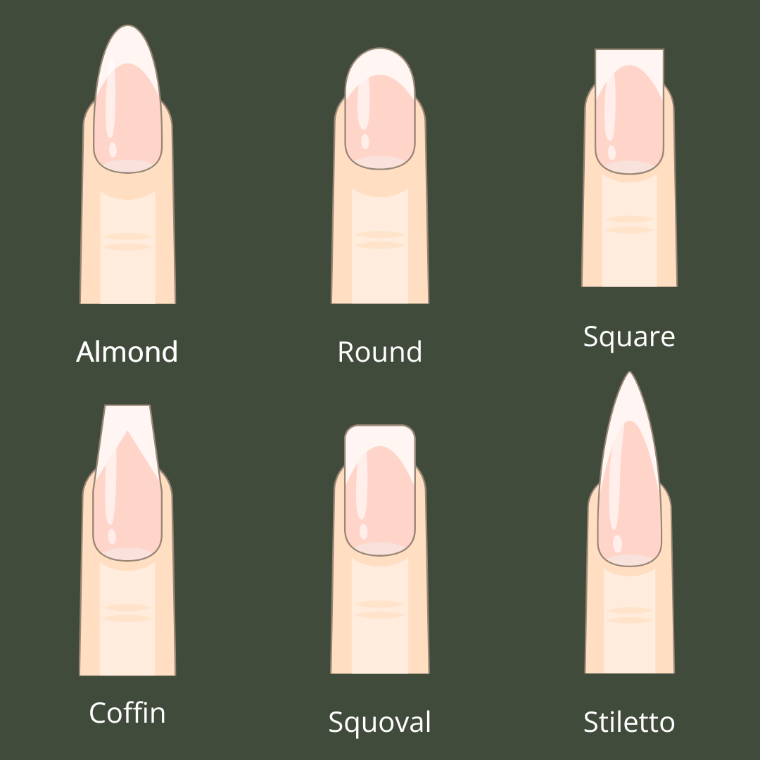 Illustration of different nail shapes with labels on a green background