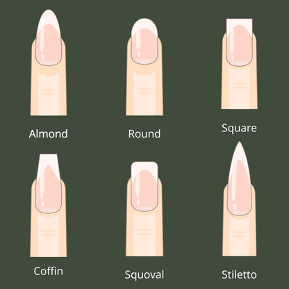 Illustration of different nail shapes with labels on a green background